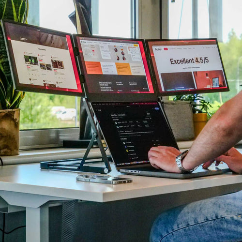 Triple Screen Monitor